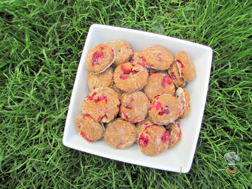 (dairy-free) cranberry butternut squash dog treat/biscuit recipe