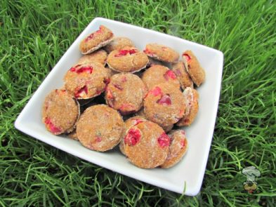 (dairy-free) cranberry butternut squash dog treat/biscuit recipe