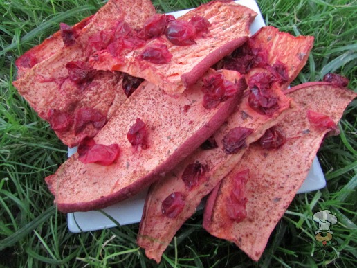 (dairy, gluten, grain and wheat-free, vegan, vegetarian) cranberry mint sweet potato chews dog treat recipe