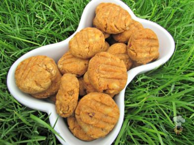 (wheat, gluten and dairy-free, vegan, vegetarian) sweet potato banana dog treat/biscuit recipe