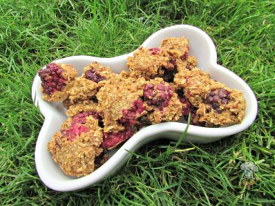 (wheat and dairy-free, vegan, vegetarian) blackberry apple dog treat recipe
