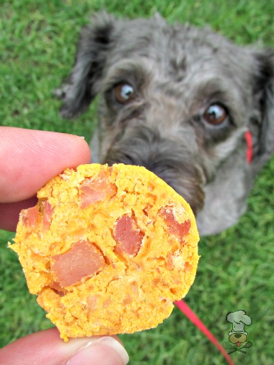 (wheat and gluten-free) cheesy sweet potato ham dog treat/biscuit recipe
