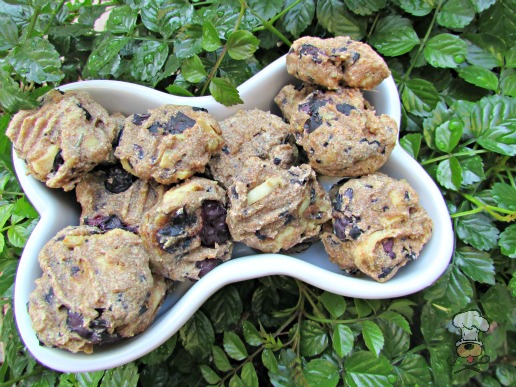 (dairy-free) blueberry rosemary chicken dog treat/biscuit recipe
