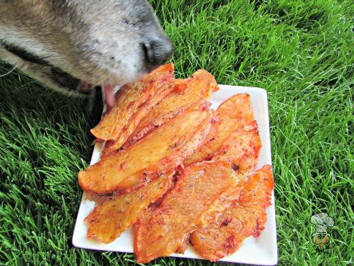 (dairy, gluten, grain and wheat-free) rosemary beet chicken jerky dog treat recipe