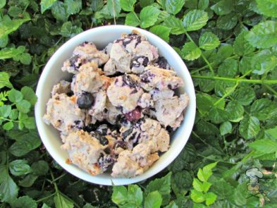 (wheat, gluten and dairy-free) blueberry ham dog treat/biscuit recipe