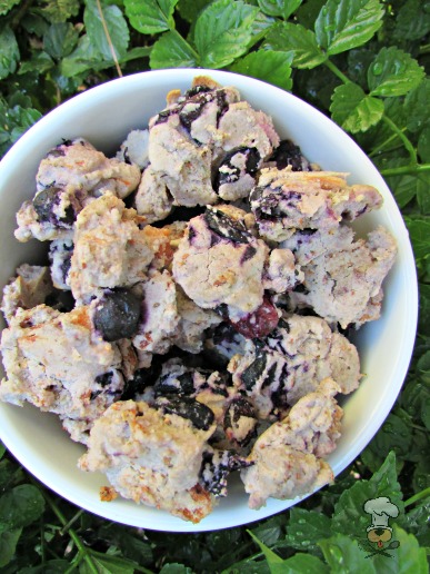 (wheat, gluten and dairy-free) blueberry ham dog treat/biscuit recipe