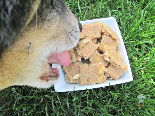 (dairy-free) ginger pineapple chicken dog treat/biscuit recipe