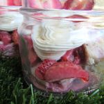 (wheat and gluten-free) mint cake stewed in strawberries dog treat/biscuit recipe