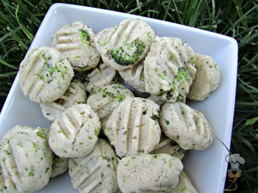 (wheat and gluten-free) broccoli goat cheese dog  treat/biscuit recipe