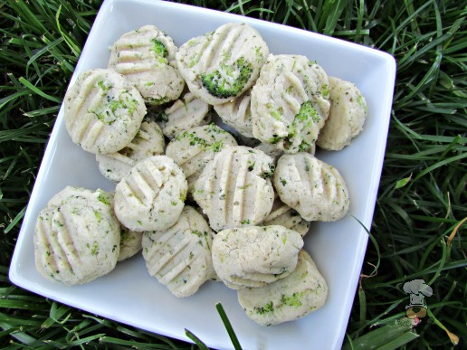 (wheat and gluten-free) broccoli goat cheese dog treat/biscuit recipe