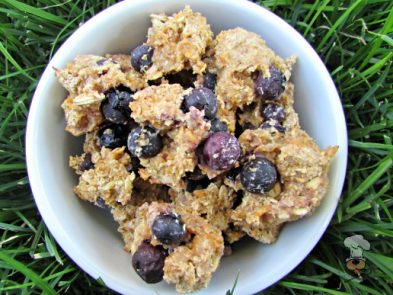 (wheat-free) apple cheddar blueberry dog treat/biscuit recipe