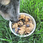 (wheat-free) apple cheddar blueberry dog treat/biscuit recipe