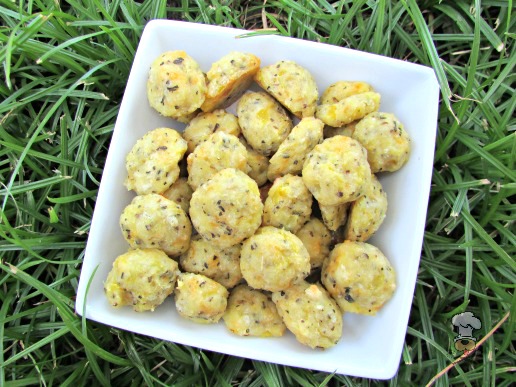 (wheat and gluten-free) cheesy yellow squash dog treat/biscuit recipe