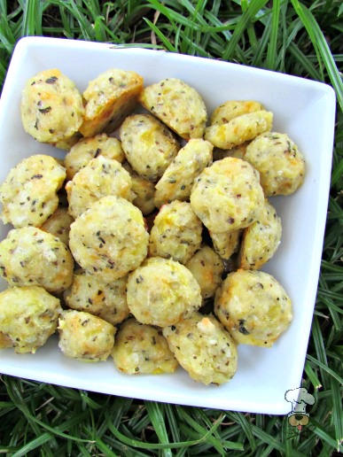 (wheat and gluten-free) cheesy yellow squash dog treat/biscuit recipe