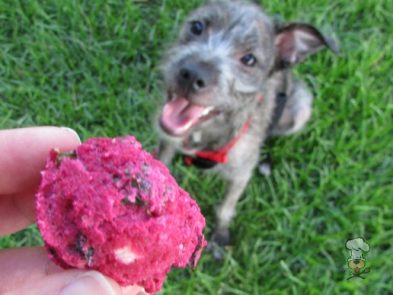 (wheat and gluten-free) rosemary beet kale dog treat/biscuit recipe