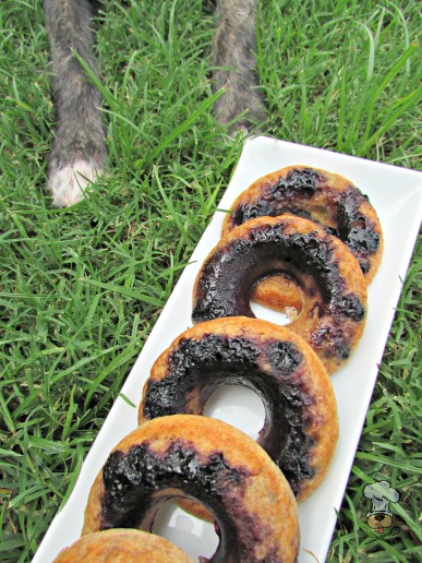 blueberry basil donuts dog treat recipe