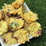 (wheat, gluten and dairy-free) chicken cranberry kale dog treat recipe