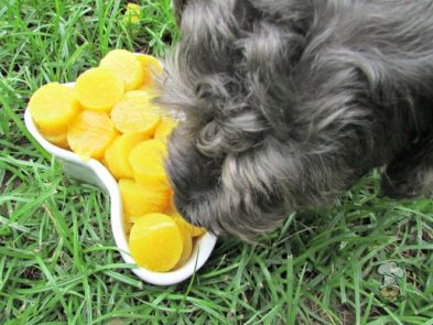 (wheat, gluten, grain and dairy-free) gummy pineapple ham dog treat recipe