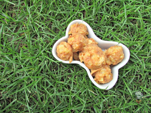 (wheat and dairy-free) pineapple peanut chicken dog treat/biscuit recipe