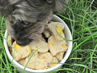 (wheat, gluten and dairy-free) mango lavender dog treat/biscuit recipe