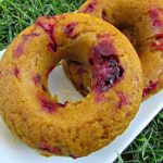 (wheat and gluten-free) pumpkin blackberry donuts dog treat recipe