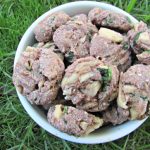 (wheat and dairy-free) raspberry spinach chicken dog treat/biscuit recipe
