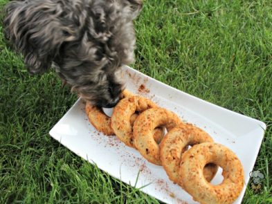 (wheat and gluten-free) peanut butter eggnog donuts dog treat recipe