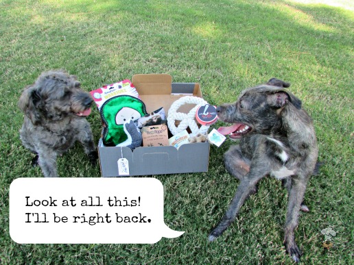 {pupjoy :: Personalized Dog Boxes of Toys, Treats & More!} review