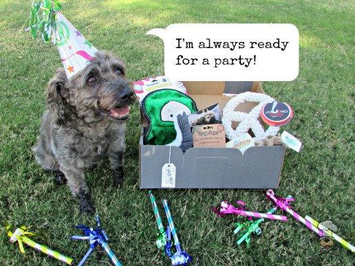 {pupjoy :: Personalized Dog Boxes of Toys, Treats & More!} review