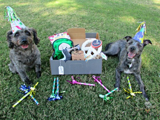 {pupjoy :: Personalized Dog Boxes of Toys, Treats & More!} review
