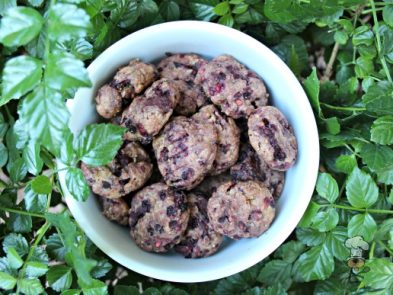 (wheat and dairy-free) blackberry peanut butter dog treat/biscuit recipe
