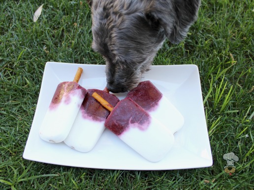 (wheat, gluten, grain and dairy-free, vegan, vegetarian) frozen mix berry coconut dog treat recipe