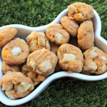 (wheat and dairy-free) sweet potato pork with apple dog treat/biscuit recipe