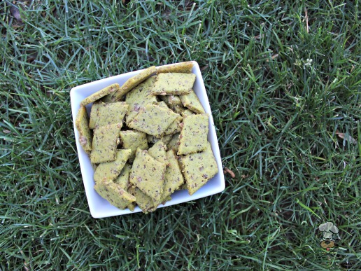 (wheat, gluten and dairy-free) coconut beef dog treat/biscuit recipe