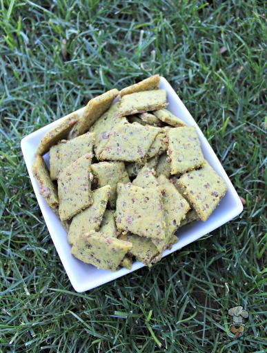 (wheat, gluten and dairy-free) coconut beef dog treat/biscuit recipe