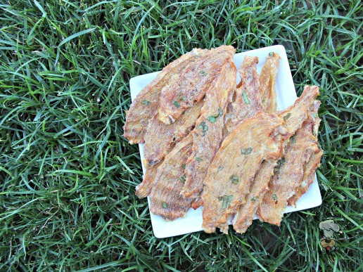 (wheat, gluten, grain and dairy-free) kiwi strawberry mint jerky dog treat recipe