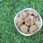 (gluten and grain-free) apple swiss cranberry dog treat/biscuit recipe