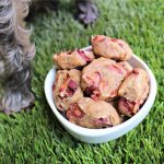 (wheat and dairy-free, vegan, vegetarian) cherry flaxseed dog treat/biscuit recipe