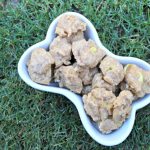 (wheat-free) zucchini basil parmesan dog treat biscuit recipe