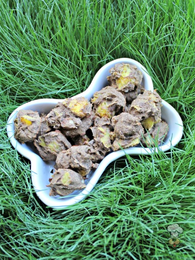(gluten, wheat and dairy-free, vegan, vegetarian) banana mango dog treat/biscuit recipe