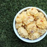(gluten, wheat and dairy-free) bacon cantaloupe dog treat/biscuit recipe