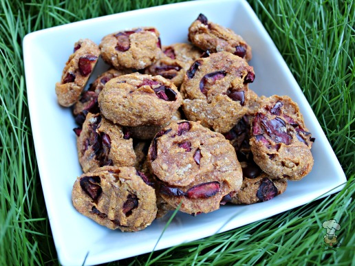 (wheat and dairy-free, vegan, vegetarian) cherry pumpkin dog treat/biscuit recipe