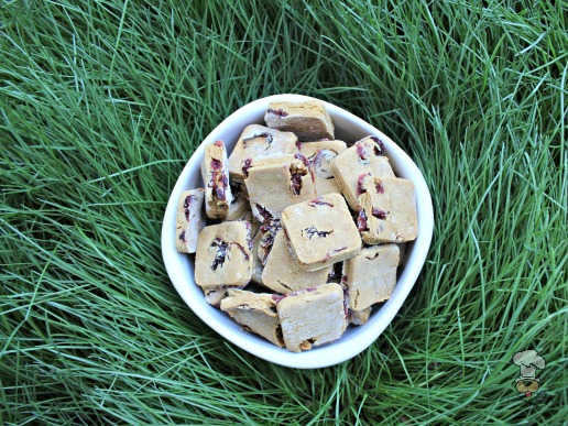 (gluten and wheat-free) cranberry ginger dog treat/biscuit recipe