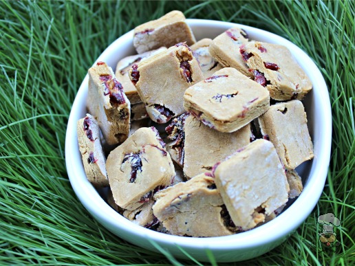 (gluten and wheat-free) cranberry ginger dog treat/biscuit recipe