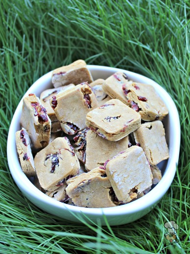 (gluten and wheat-free) cranberry ginger dog treat/biscuit recipe