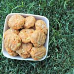 (wheat-free) zucchini cheese and carrots dog treat/biscuit recipe