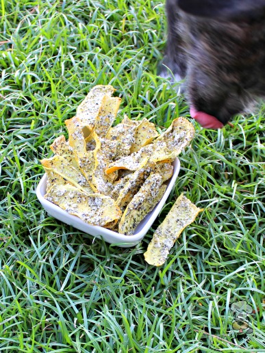 (grain, gluten and wheat-free) parmesan squash chews dog treat recipe