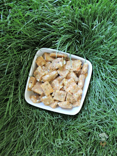 (wheat-free) zucchini goat cheese dog treat/biscuit recipe