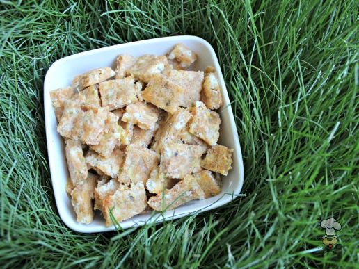 (wheat-free) zucchini goat cheese dog treat/biscuit recipe