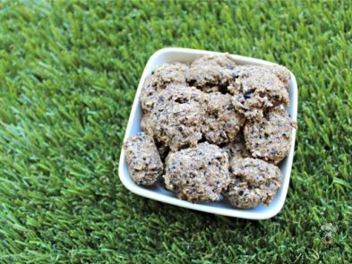 (wheat and dairy-free, vegan, vegetarian) blueberry cantaloupe dog treat/biscuit recipe